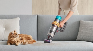 Легкий уход за питомцами в сезон линьки вместе с Dyson V15