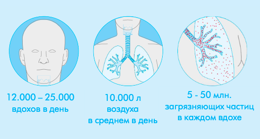 наше дыхание